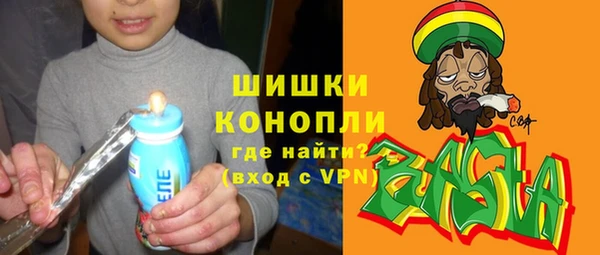 индика Алексеевка