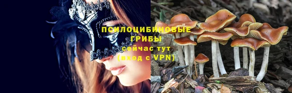 индика Алексеевка