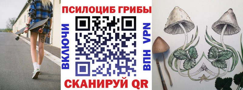 blacksprut tor Вытегра Псилоцибиновые грибы мухоморы